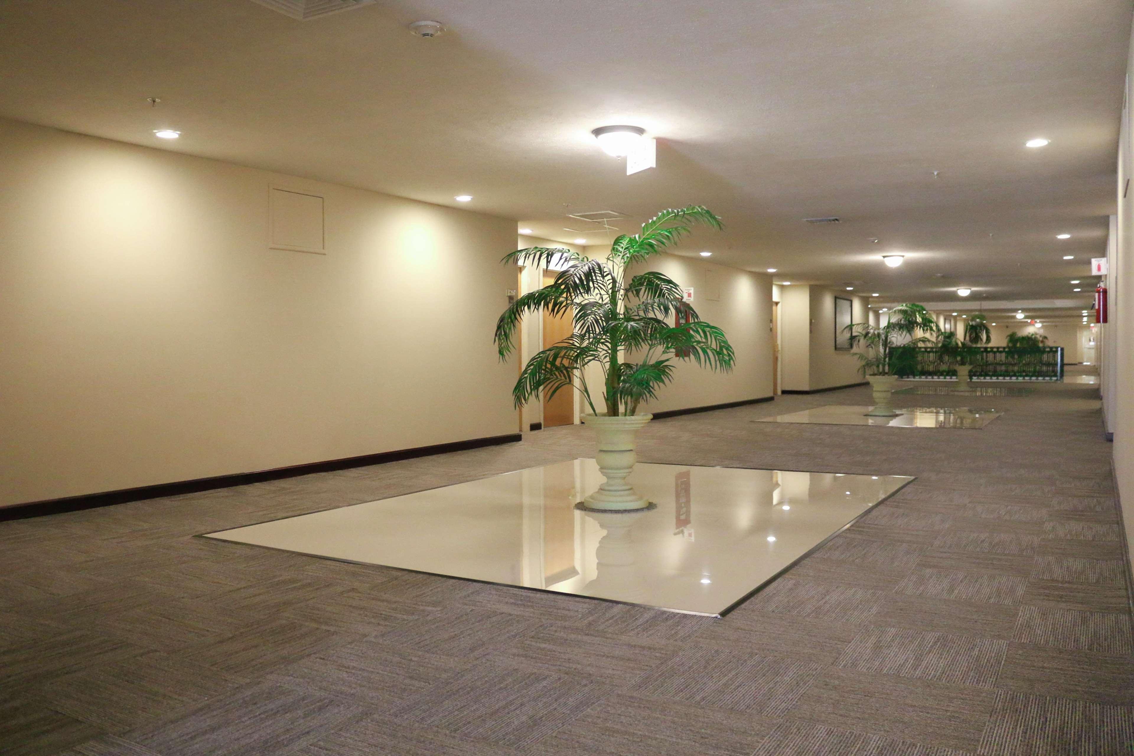 Hampton Inn Tampico Zona Dorada Экстерьер фото